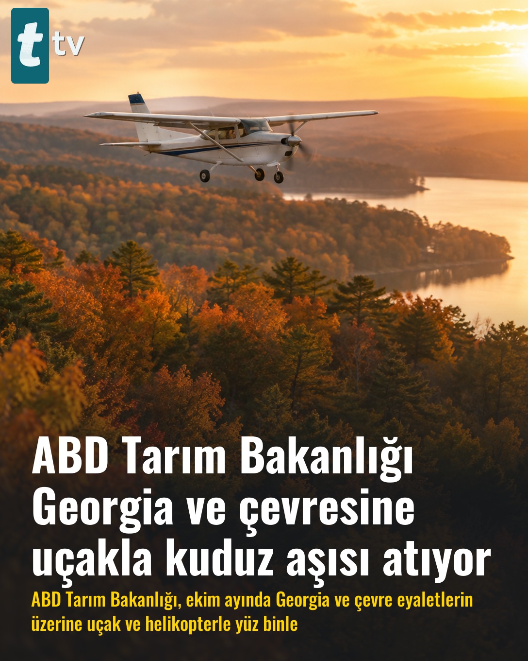 ABD Tarım Bakanlığı Georgia ve çevresine uçakla kuduz aşısı atıyor