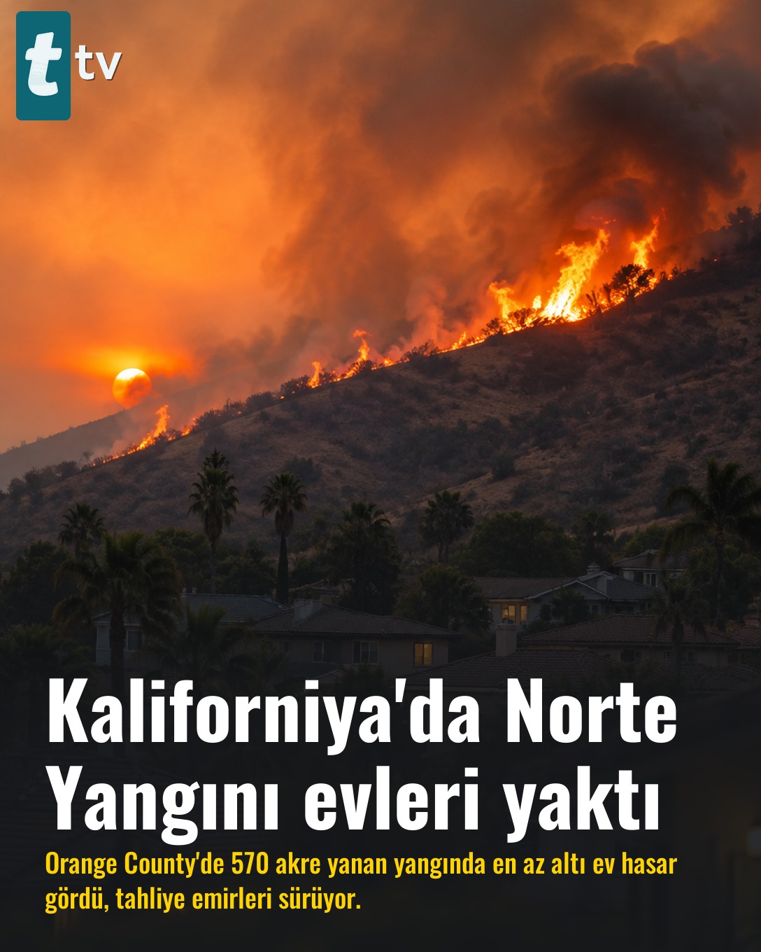Kaliforniya'da Norte Yangını evleri yaktı