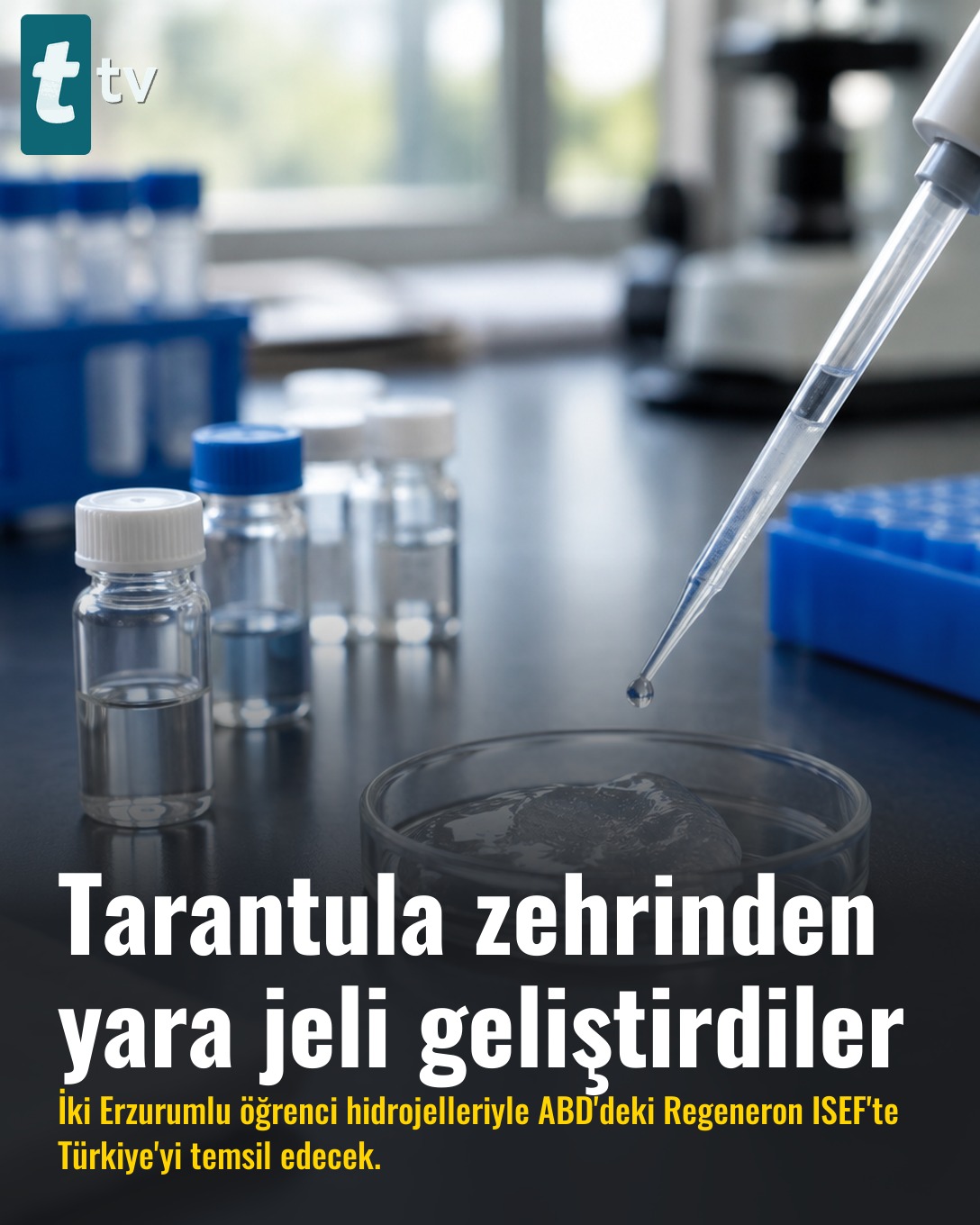 Tarantula zehrinden yara jeli geliştirdiler