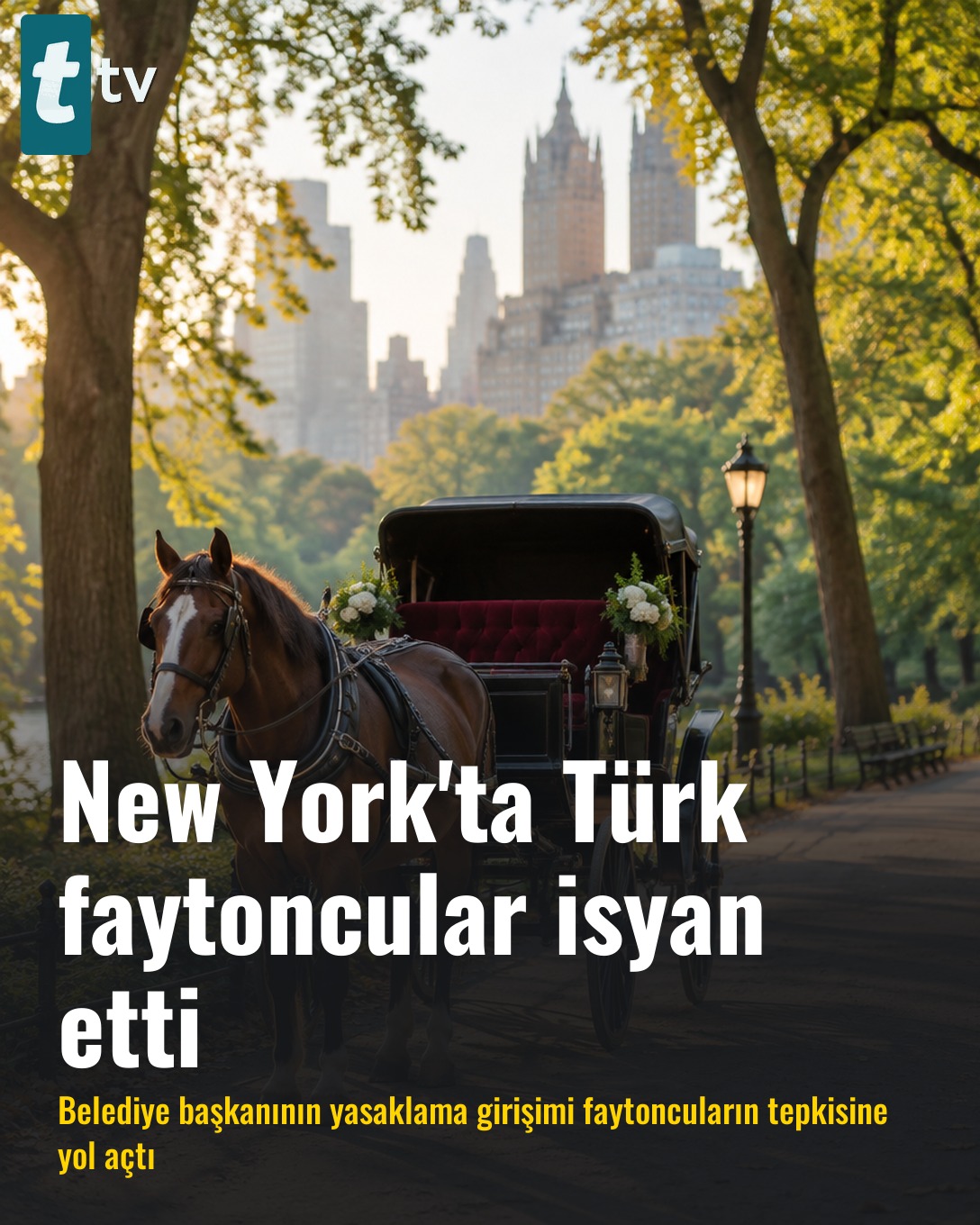 New York'ta Türk faytoncular isyan etti